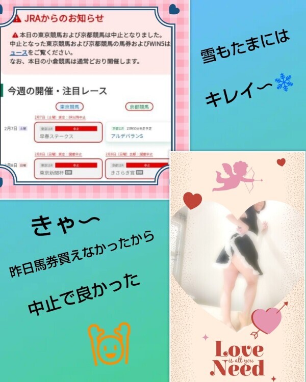 おはようございます🌹