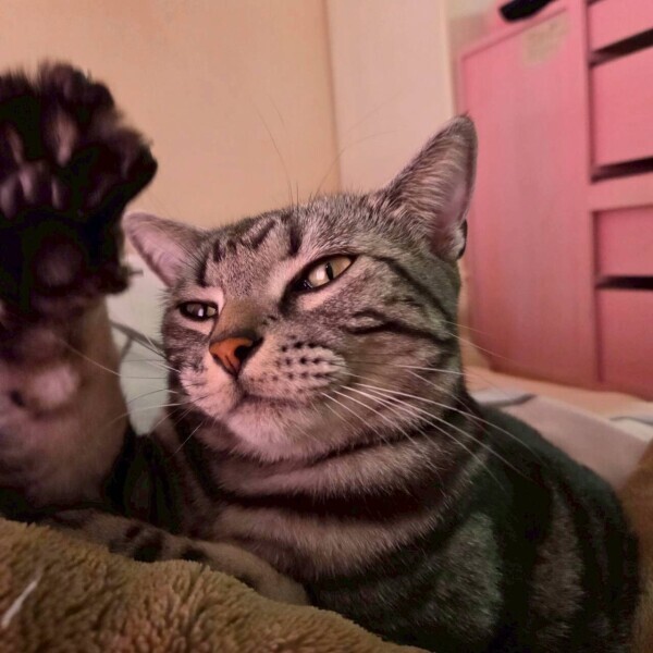 2月もありがとう😊