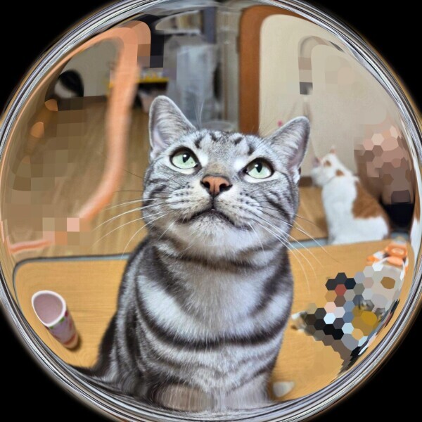 お忙しい中ありがとう🍀