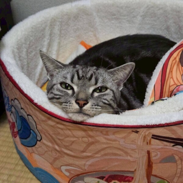 お天気回復？？