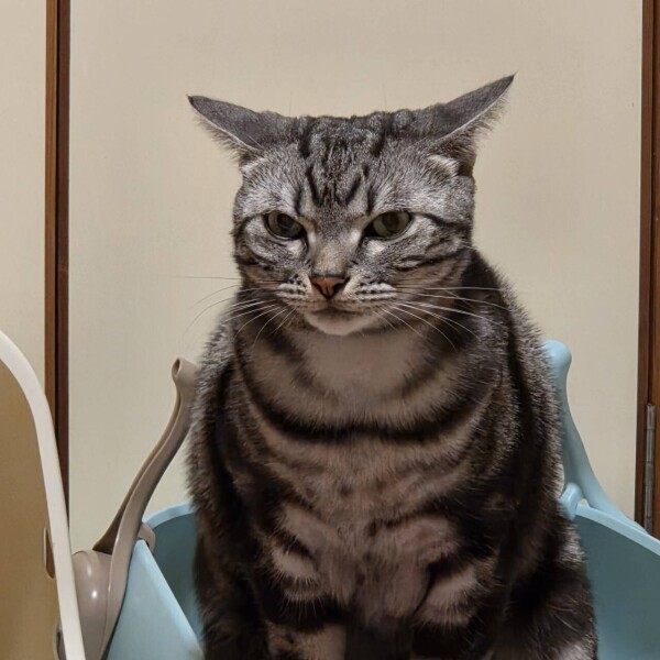 昨日のありがとう‎🩷