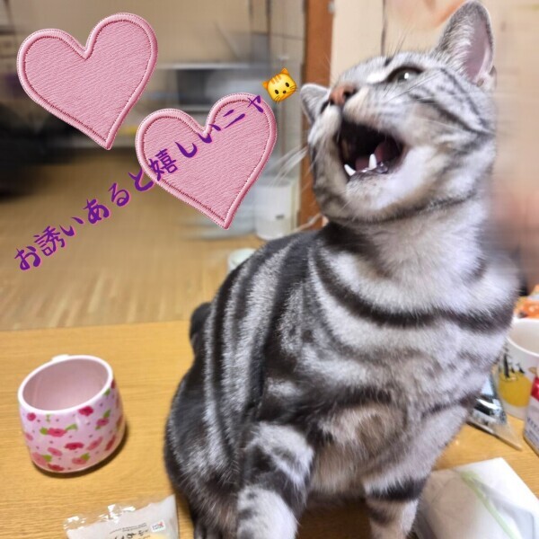 寒い((((；ﾟДﾟ))))