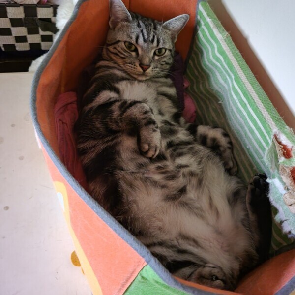 色々ありがとう(*^^*)