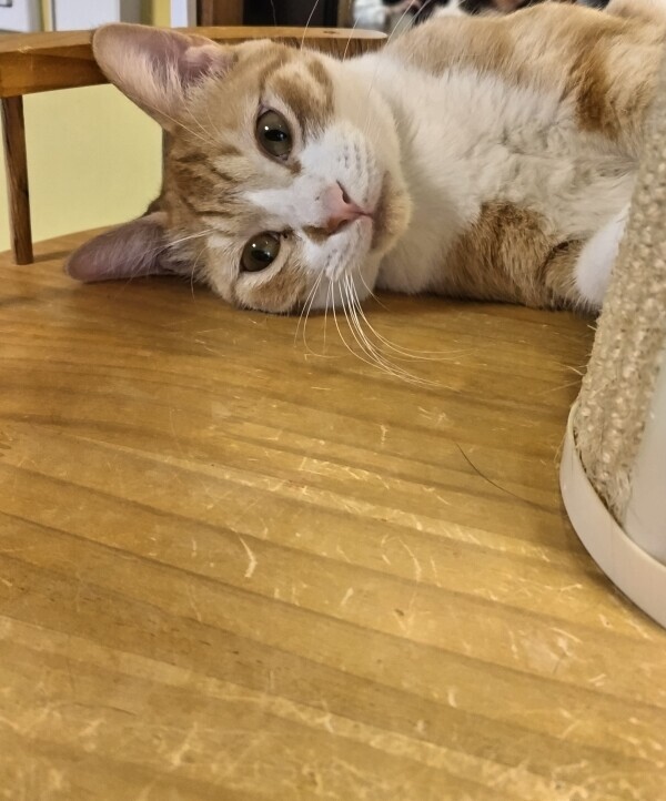 〇〇に苦戦してます💦