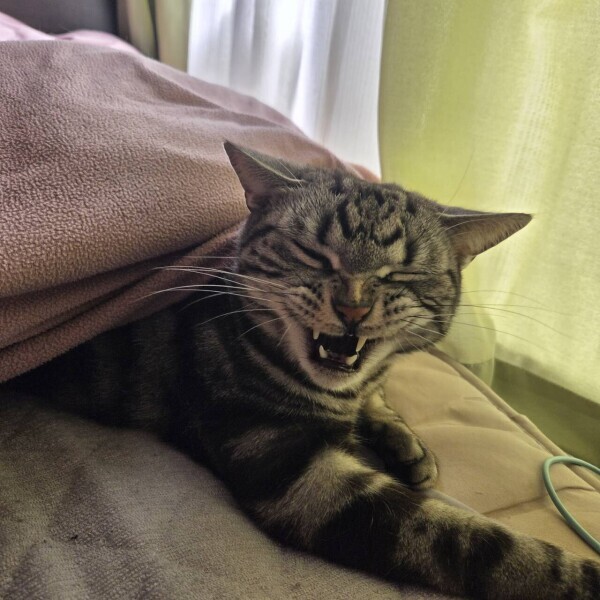 ぽっぽっぽ～🕊