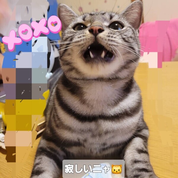 明日と水曜日𝐖𝐞𝐝𝐧𝐞𝐬𝐝𝐚𝐲。。。