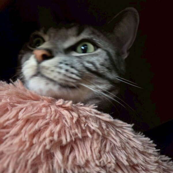 写真変わったけど