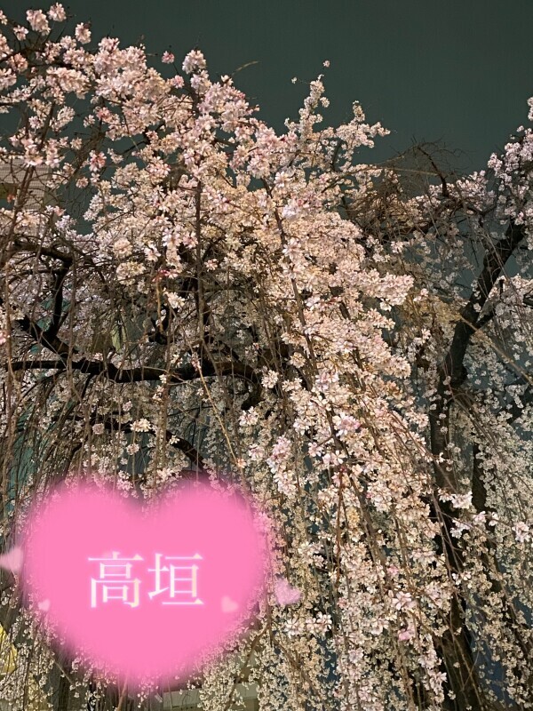 御礼と今週は🌼