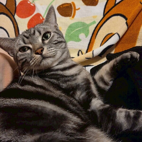 色々とな。。。( ｰ̀ н ｰ́ )