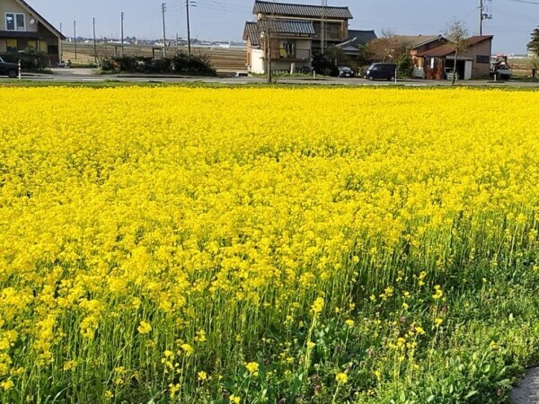 嬉しい月曜日❣️