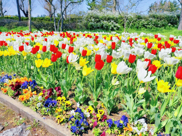 すがすがしい金曜日💕