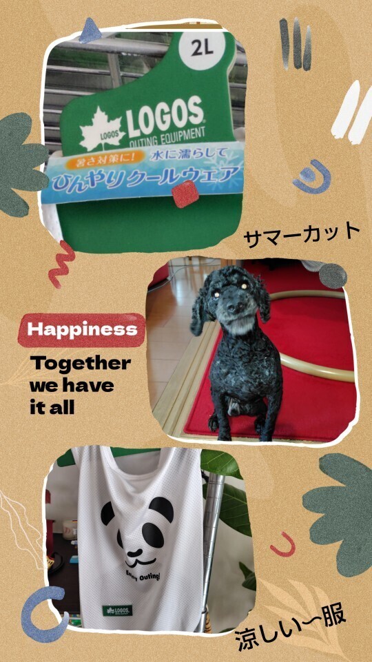 おはようございます🌹