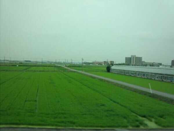 土曜日レア出勤😤