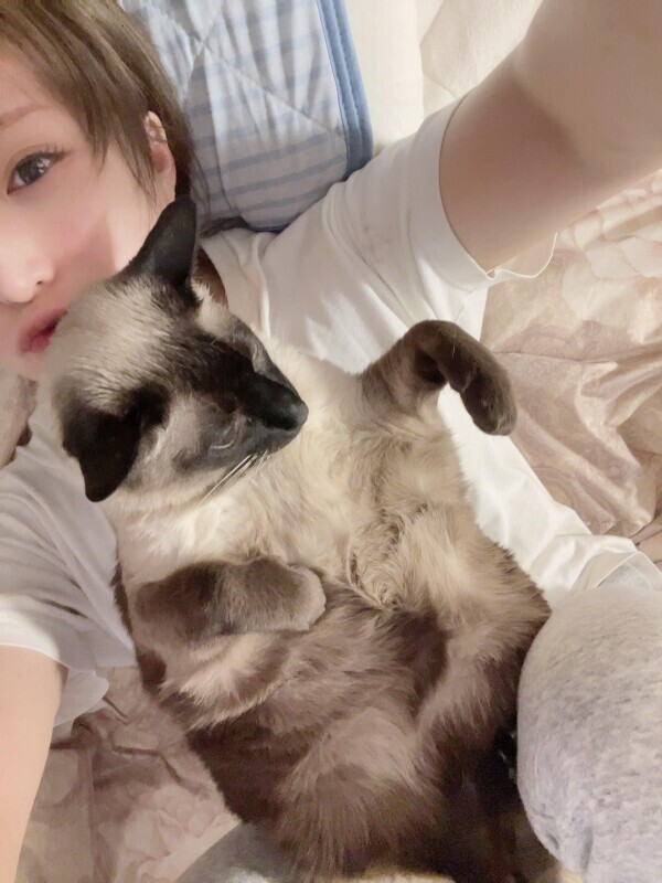 こんにちは( **oo