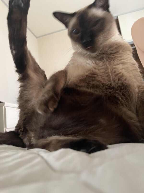 おはよう