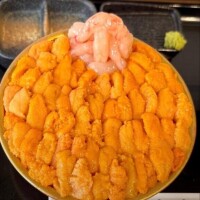 南條(なんじょう)