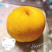 丸山(まるやま)