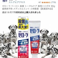 南條(なんじょう)