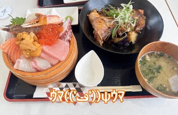 弾丸日帰り✈️