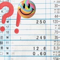 南條(なんじょう)