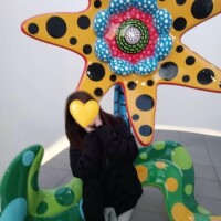 南條(なんじょう)