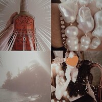 南條(なんじょう)