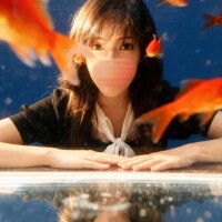 五十嵐(いがらし)