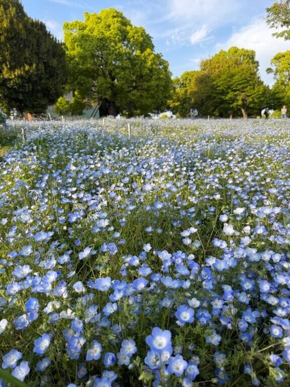 助けられたぁ、、、