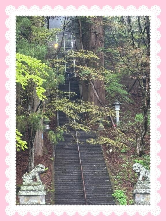 行ってみたかったとこ…