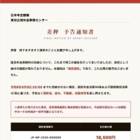 南條(なんじょう)