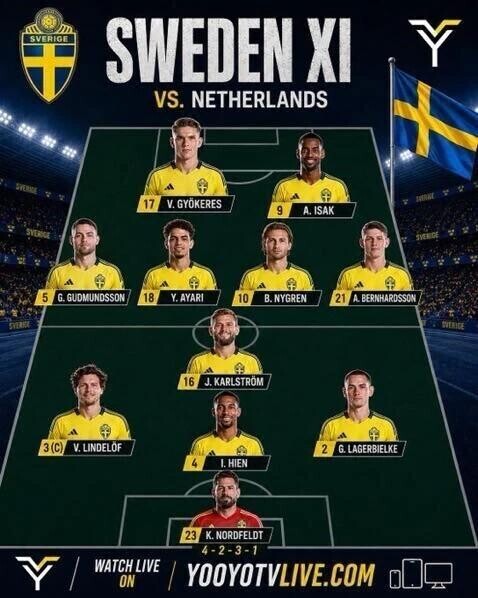 オランダvsスウェーデン