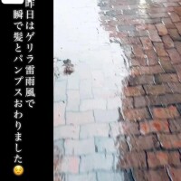 愛内ゆりの