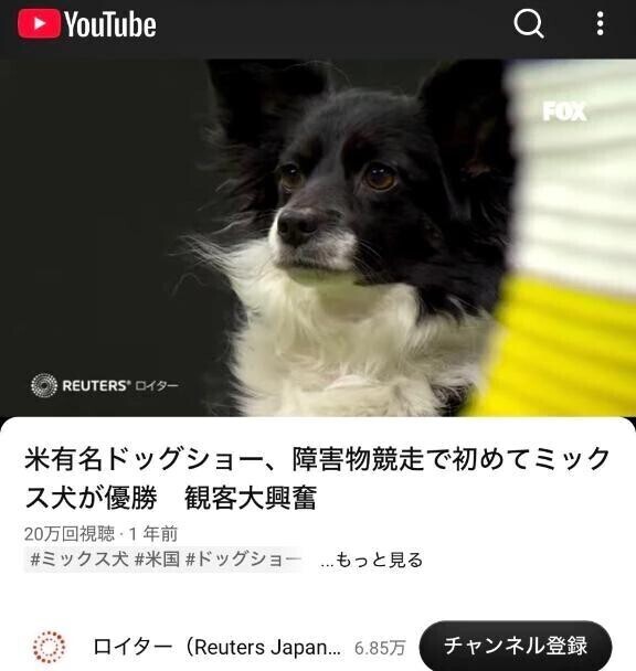 最近はまってる