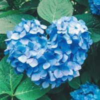 おはようございます?