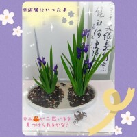 ♪三日月♪明日出勤します(エロ写真あり)