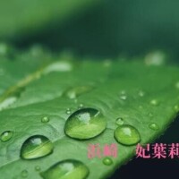 あわわ(-_-;)