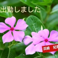 今日から7月