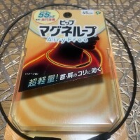 夏目ここ