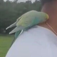 斜め上からやってくる