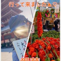 ほおずき市行って来ましたぁ?
