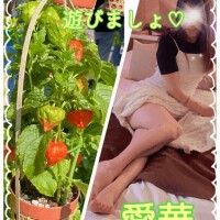 今日は土曜日遊びましょ?