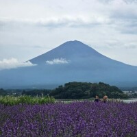 本日出勤致します