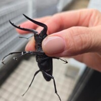 メッセージありがとうございます