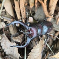 ご予約ありがとうございます