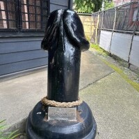 白咲花音