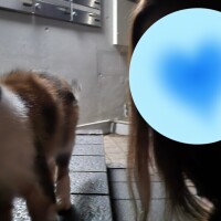 お礼♪