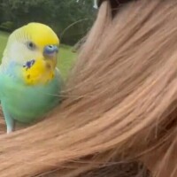 認識の違い