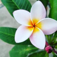 今日も暑いですね！