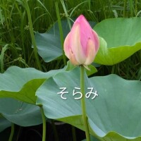 出勤しました?