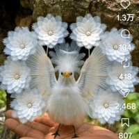 おはようございます?